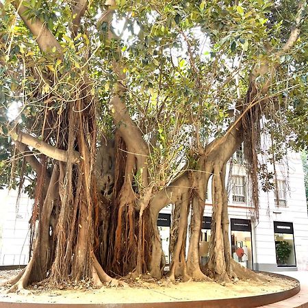 El Alamo Lägenhet Málaga Exteriör bild
